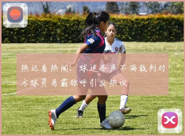 热记看热闹：球迷齐声不满裁判对方球员恶霸称呼引发热议