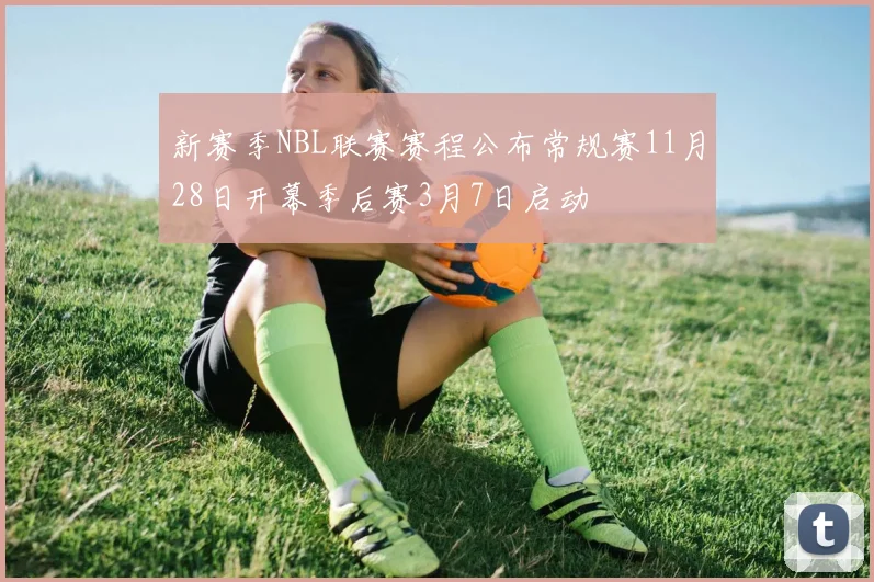 新赛季NBL联赛赛程公布常规赛11月28日开幕季后赛3月7日启动